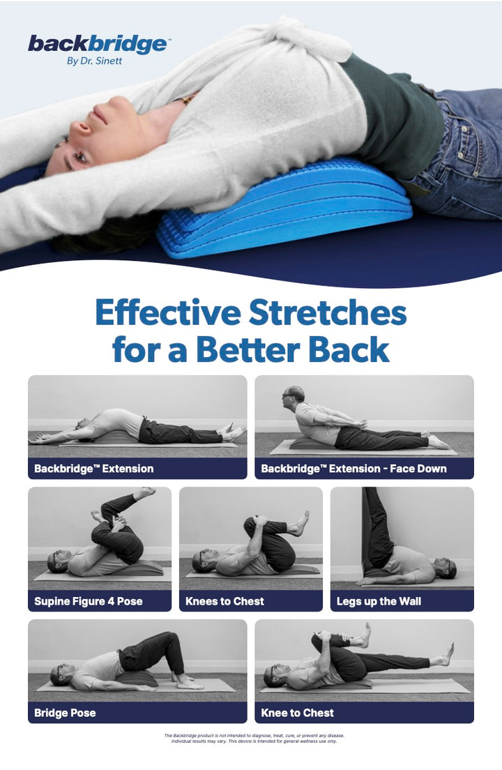 BACK + NECK SAFE STRETCHING TOOL Sit-Ups Are Stupid paperback book