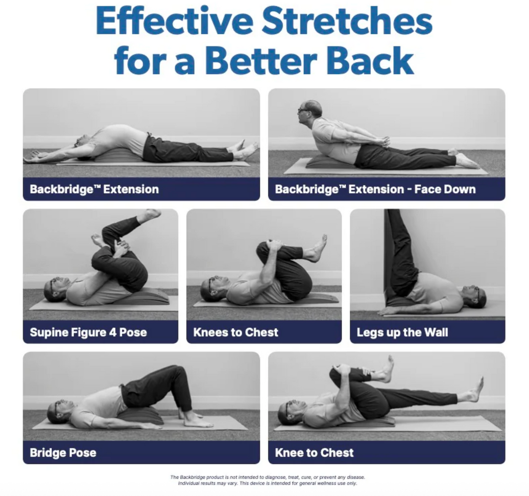BACK + NECK SAFE STRETCHING TOOL Sit-Ups Are Stupid paperback book