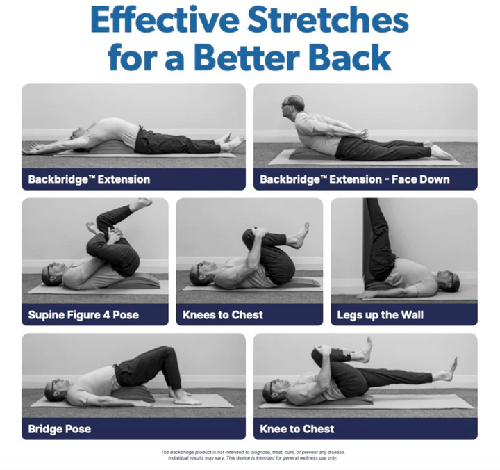 BACK + NECK SAFE STRETCHING TOOL Sit-Ups Are Stupid paperback book